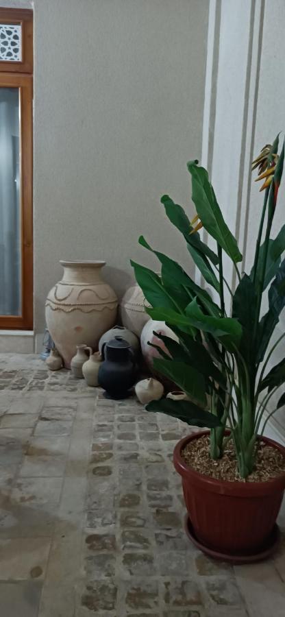 בוקורו Hotel Ansi Boutique W&S Terrace מראה חיצוני תמונה